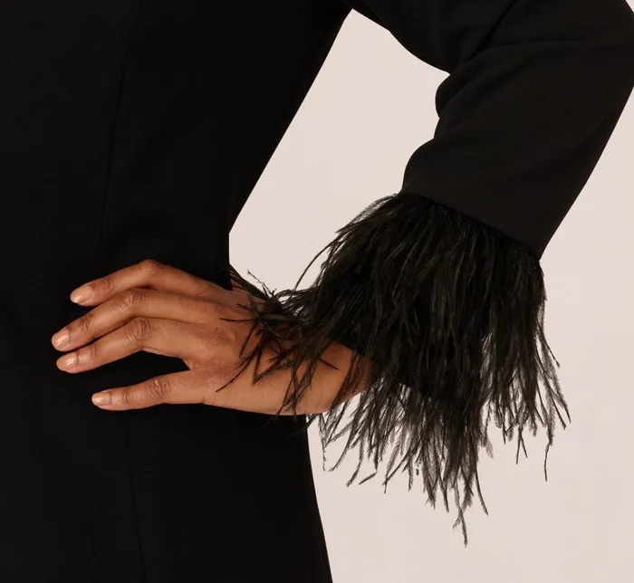 Adrianna Papell Formal Dresses Plus Size Knit Crepe Long Sleeve Blazer Dress With Feather Trim In Black 8211 Women