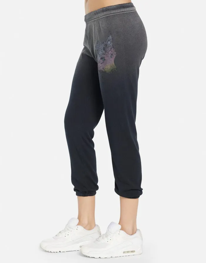 Alana Wild Wolf Jet Black Ombre Women039s Lauren Moshi Crop Sweatpants