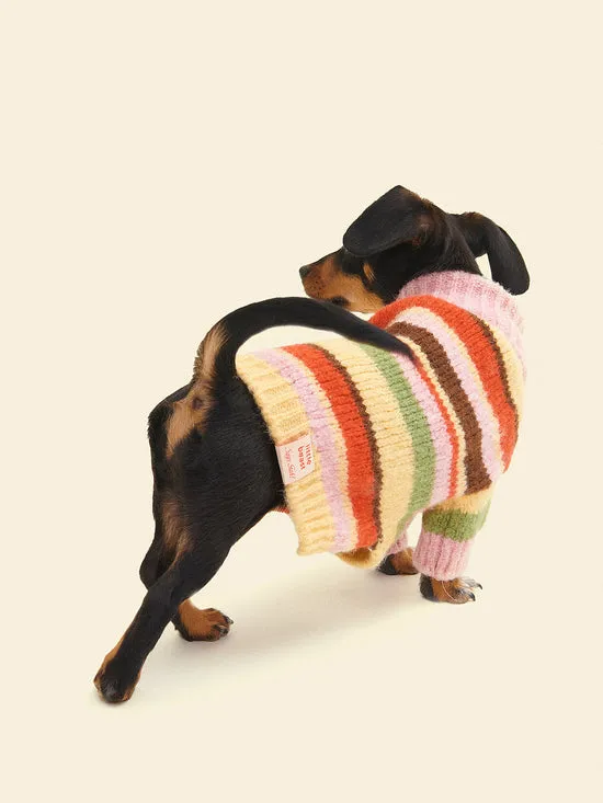 Dog Sweater Pink Stripe Women Pet Lisa Says Gah