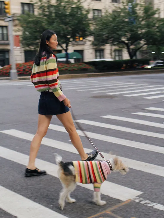 Dog Sweater Pink Stripe Women Pet Lisa Says Gah