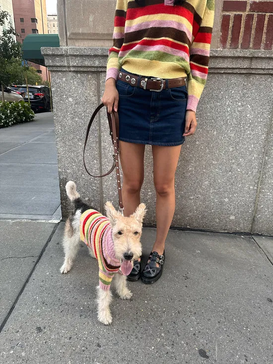 Dog Sweater Pink Stripe Women Pet Lisa Says Gah