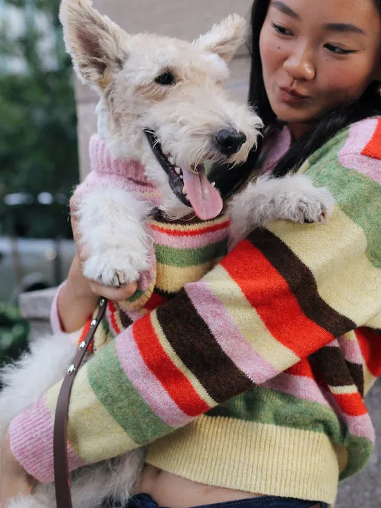 Dog Sweater Pink Stripe Women Pet Lisa Says Gah