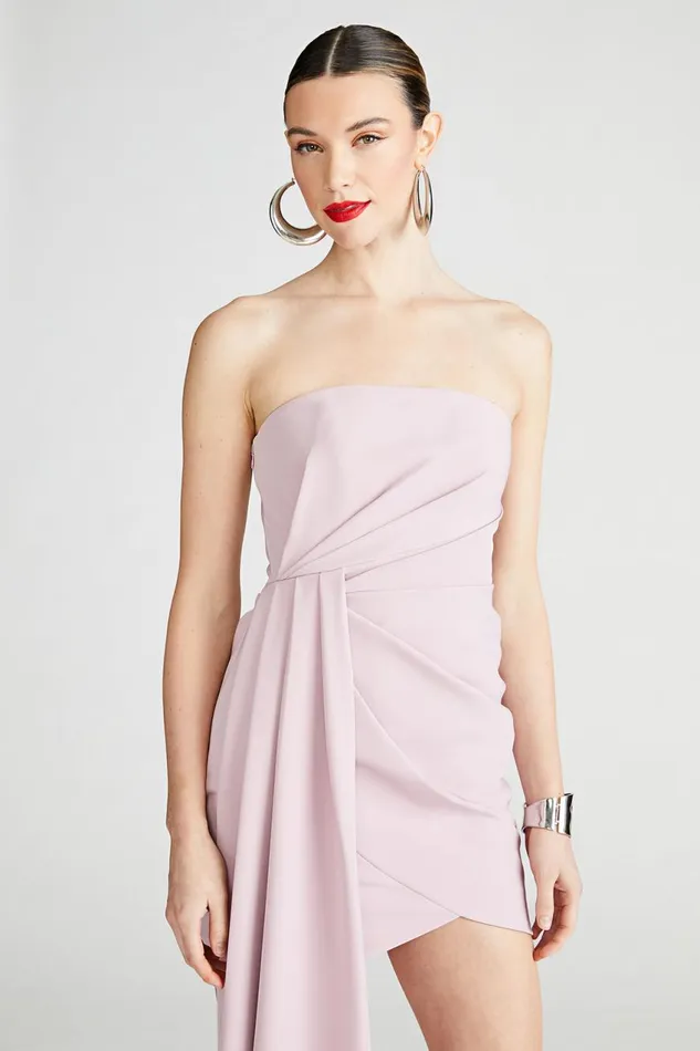 Dresses Women Halston Nitara Dress In Crepe Mauve Blush