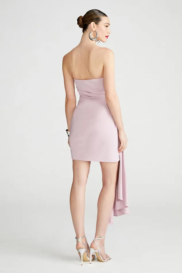 Dresses Women Halston Nitara Dress In Crepe Mauve Blush