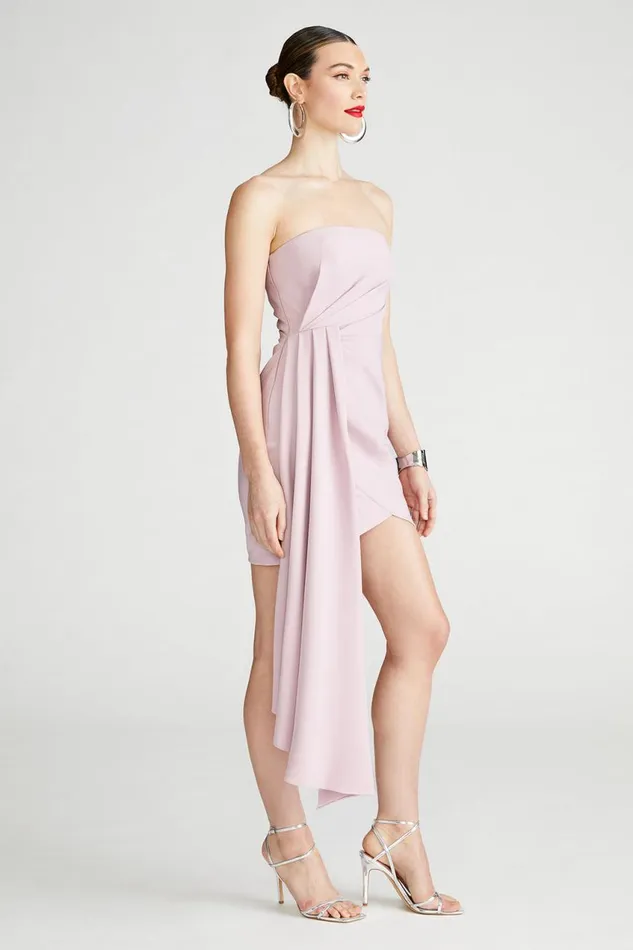 Dresses Women Halston Nitara Dress In Crepe Mauve Blush