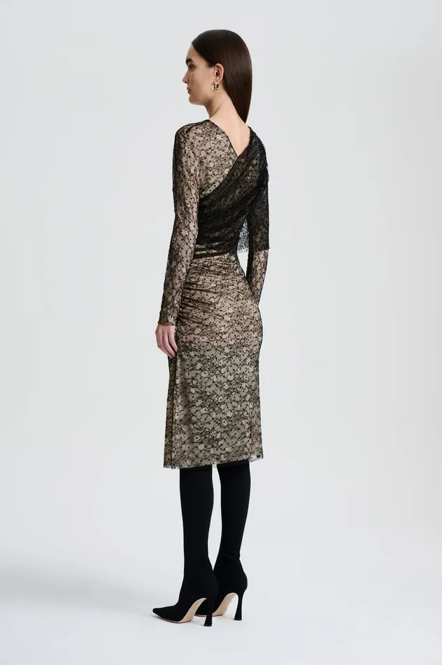 Dresses Women Scanlan Theodore LACE DRAPE DRESS BLACK