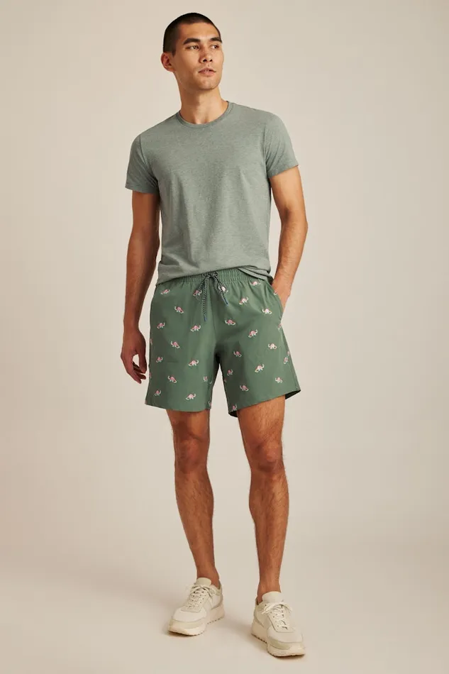 Men Bonobos Casual Shorts The Rec Short Modern Brontosaurus