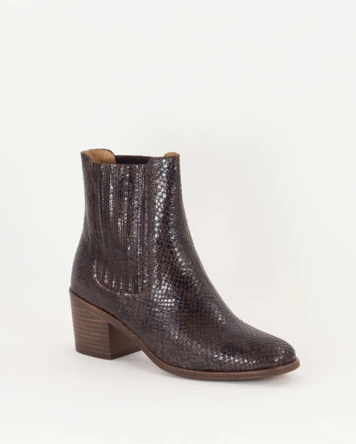 Sessn Womens Shoes Sanrisa Choco python Popular