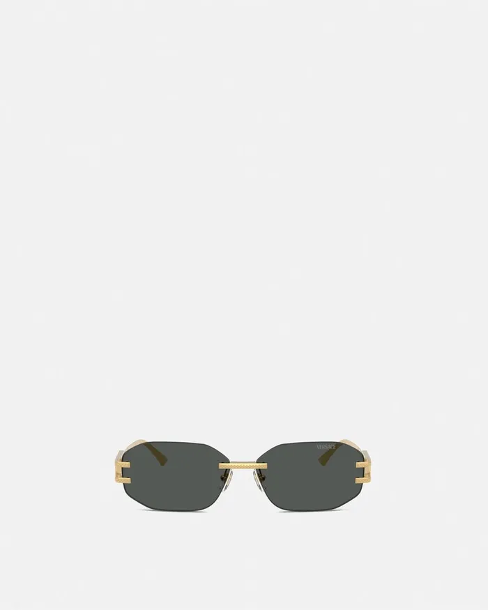 Versace Sunglasses Women Damier Plaque Sunglasses Blackgold
