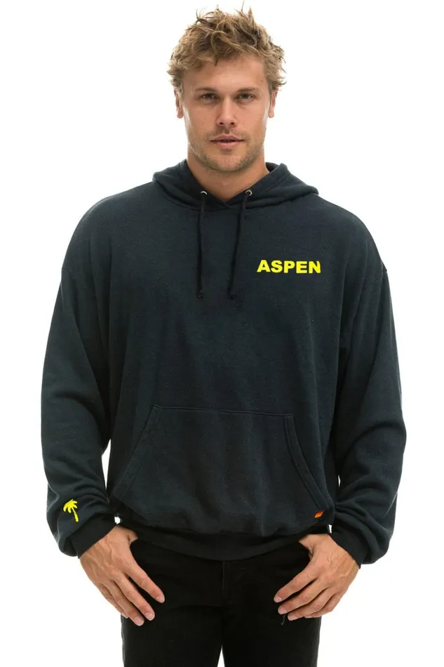 WomenMen Tops Aviator Nation PALM TREE FESTIVAL ASPEN 2024 PULLOVER HOODIE RELAXED 8211 CHARCOAL