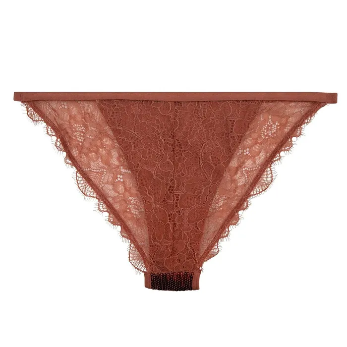 Women Tanga Briefs Love Stories Wild Rose Briefs Brown